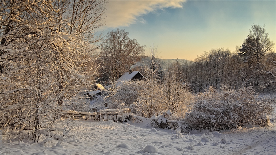 Фото жизнь