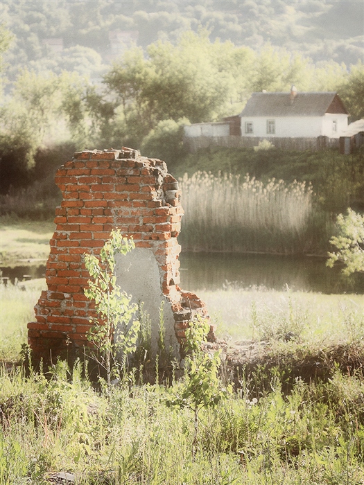 Фото жизнь