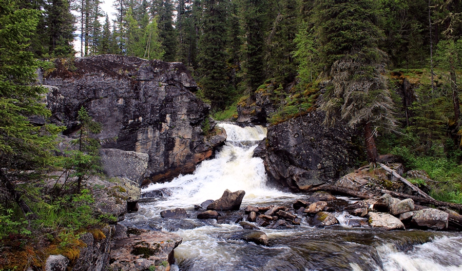 Фото жизнь