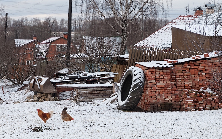 Фото жизнь