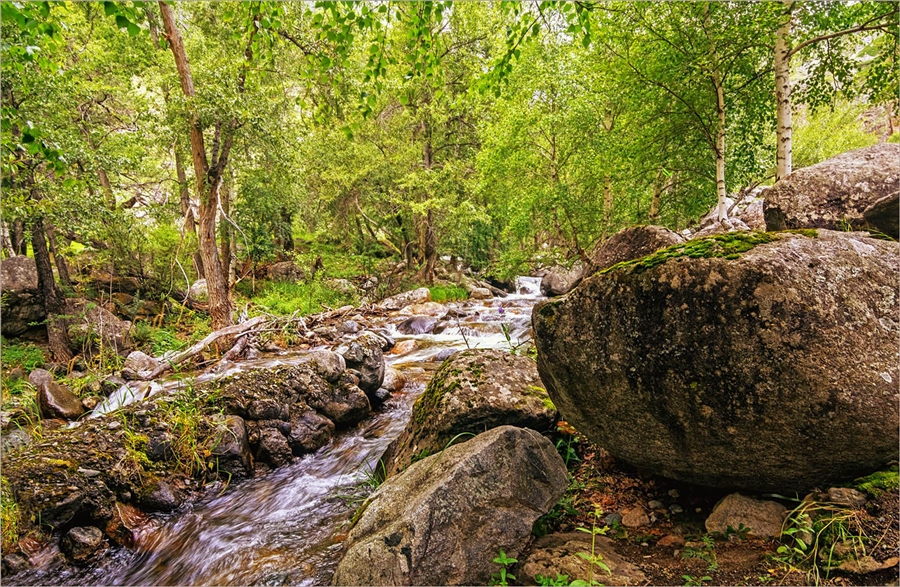 Фото жизнь