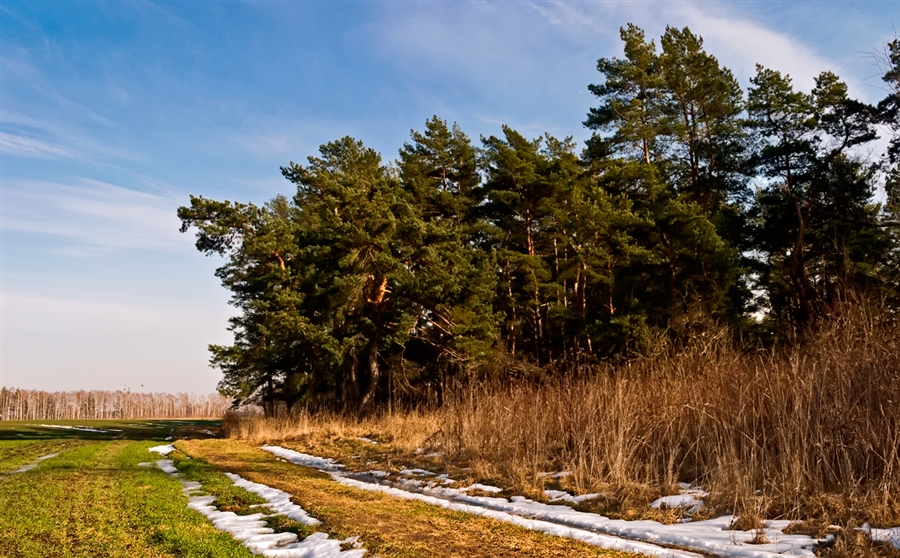 Фото жизнь