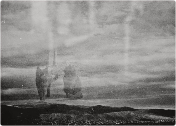 Фото жизнь (light) - Euphoria - корневой каталог - ...