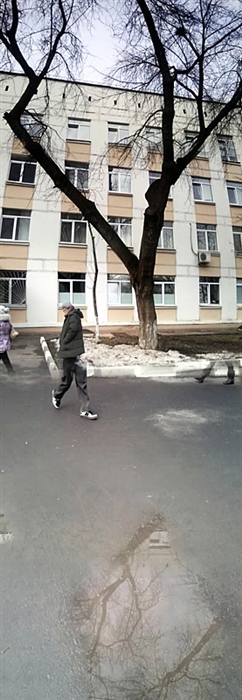 Фото жизнь