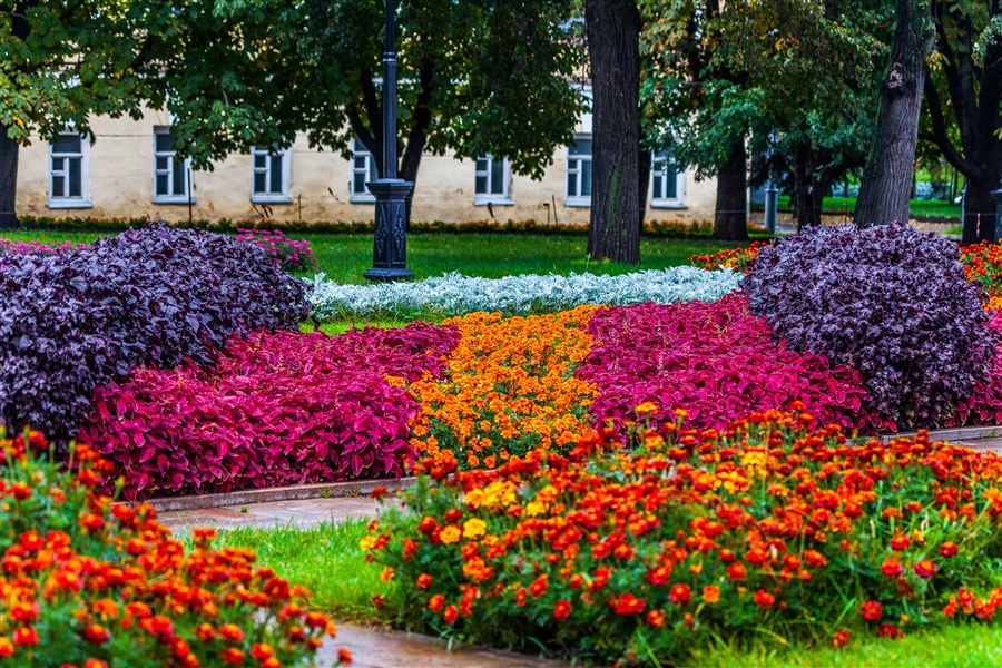 Фото жизнь