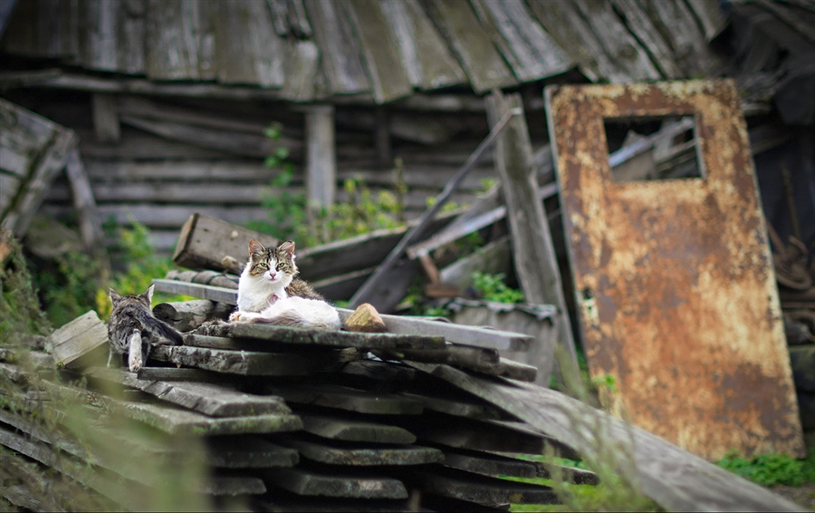 Фото жизнь
