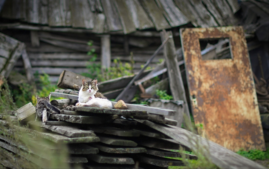 Фото жизнь