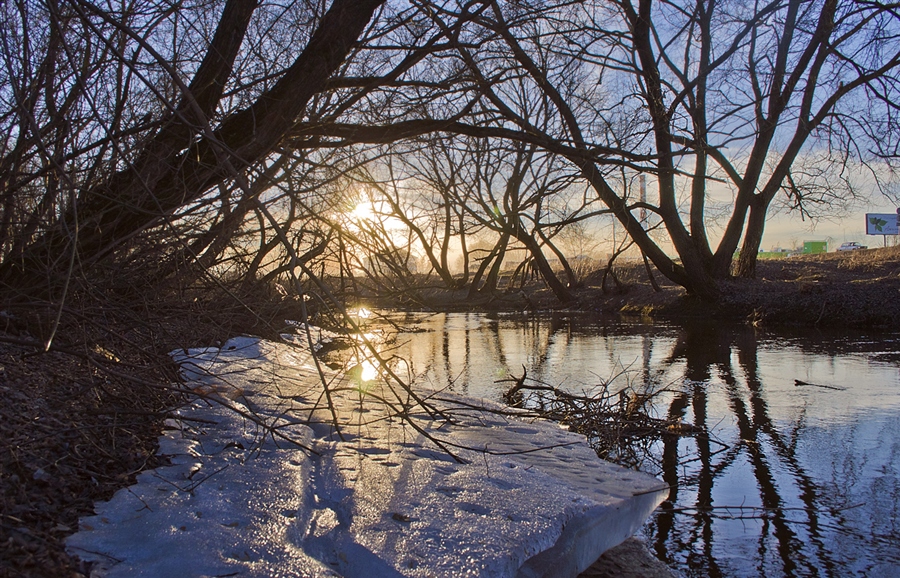 Фото жизнь