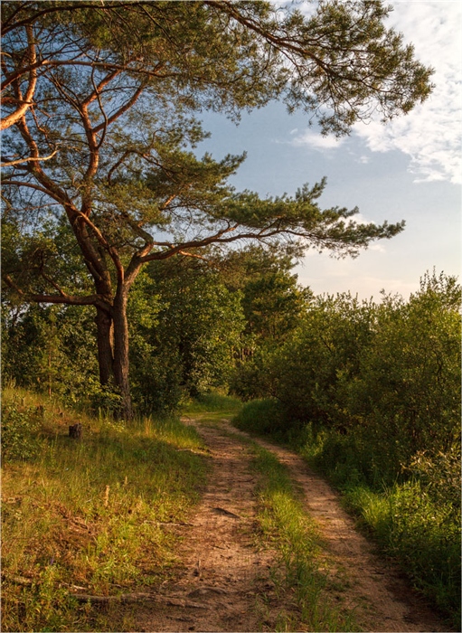 Фото жизнь