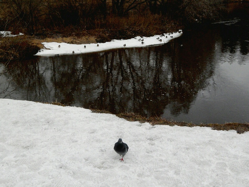 Фото жизнь (light) - serenata - корневой каталог - *