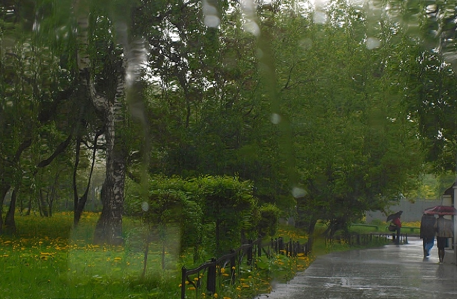 Фото жизнь (light) - 1412etoya - корневой каталог - Эти летние дожди...