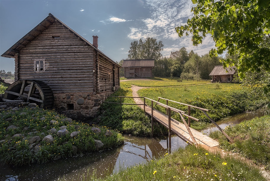 Фото жизнь