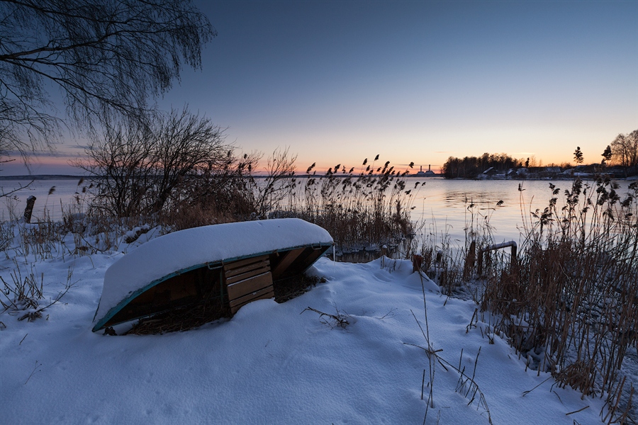 Фото жизнь