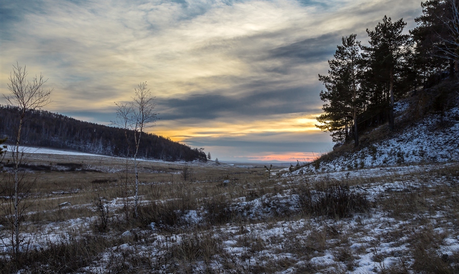 Фото жизнь