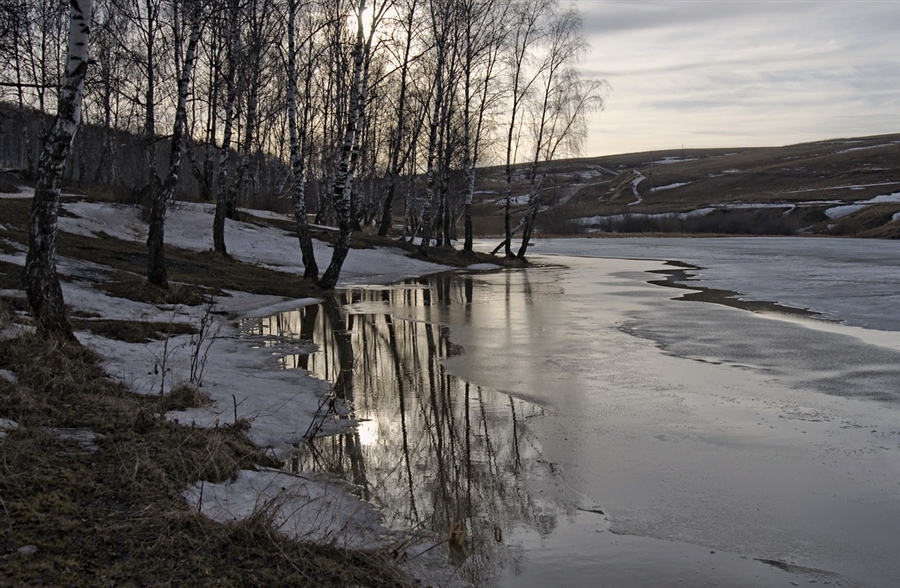 Фото жизнь