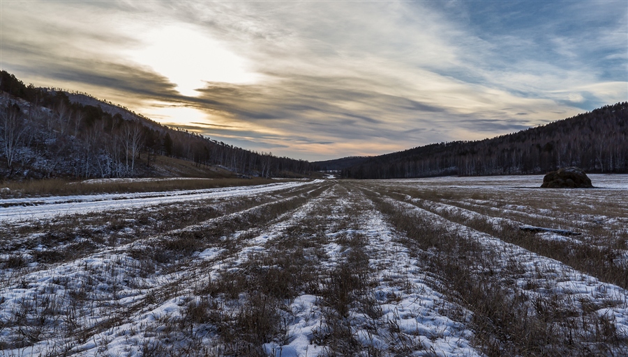 Фото жизнь