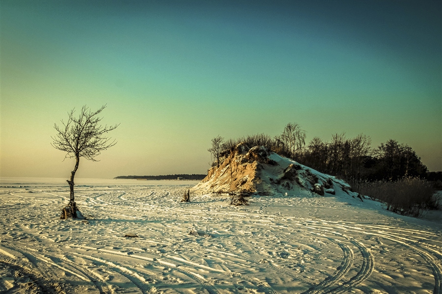 Фото жизнь