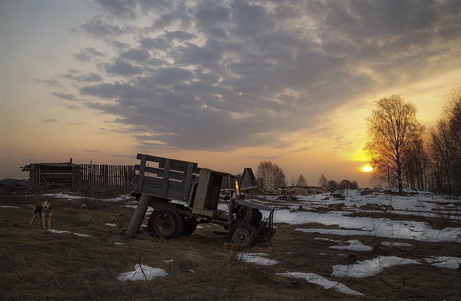 Фото жизнь