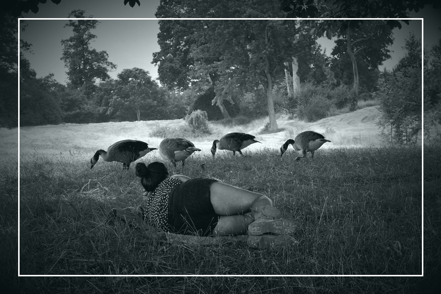 Фото жизнь (light) - Котов Вадим - Франция 2013 - пастораль)