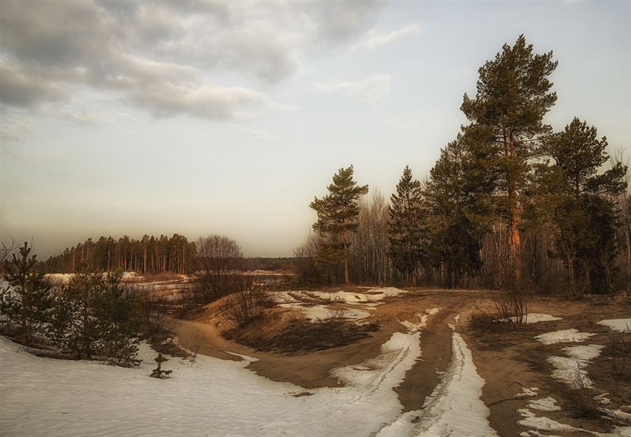 Фото жизнь