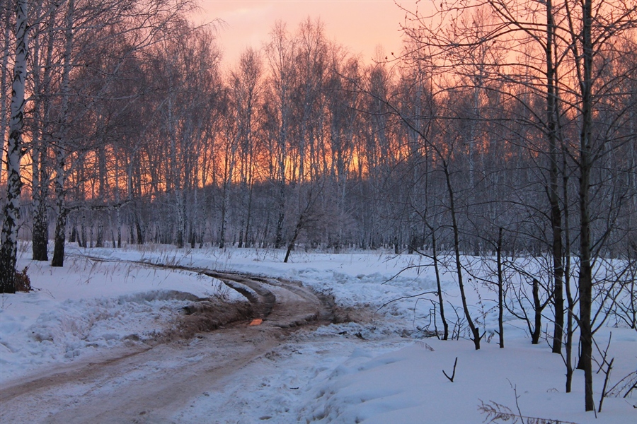Фото жизнь
