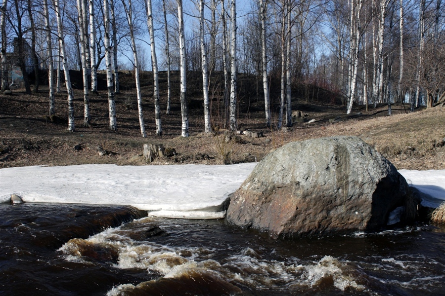 Фото жизнь