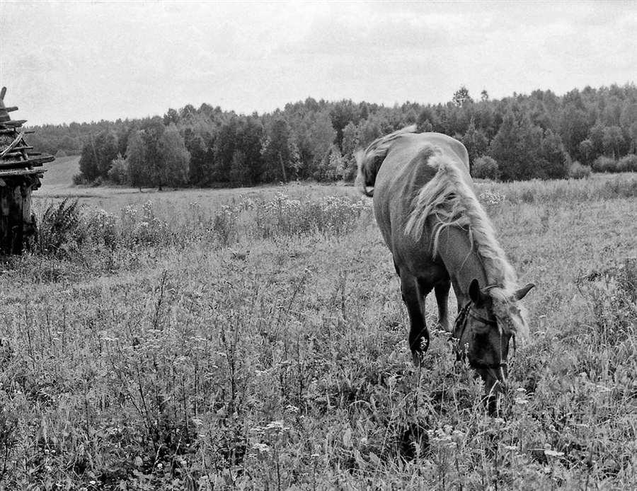 Фото жизнь