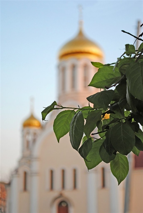 Фото жизнь