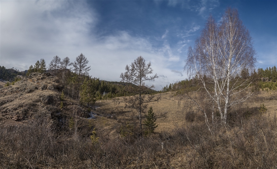 Фото жизнь