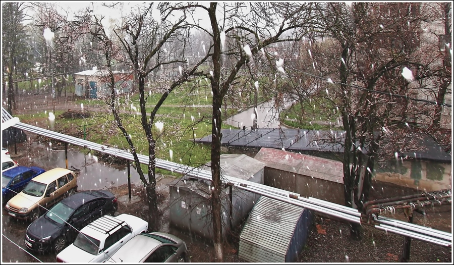 Фото жизнь