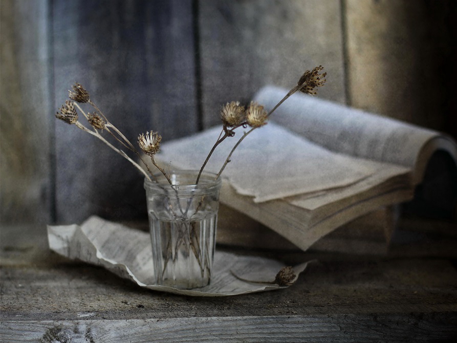 Фото жизнь (light) - Lilliya - корневой каталог - С сухоцветами... 