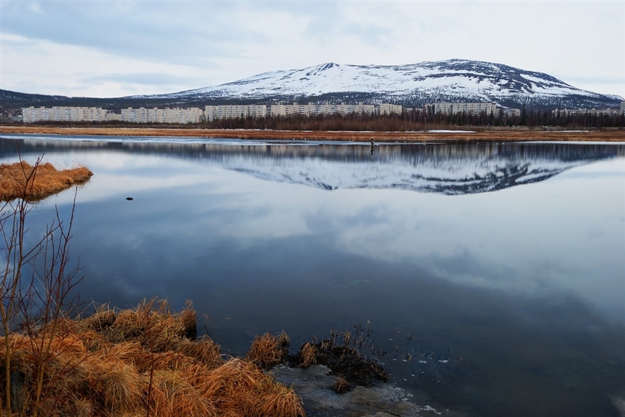 Фото жизнь