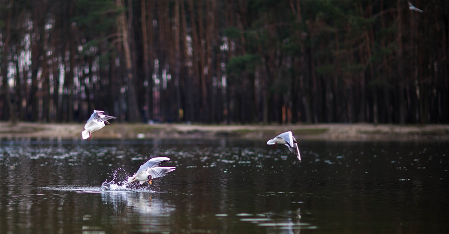 Фото жизнь