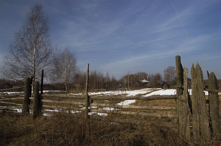 Фото жизнь