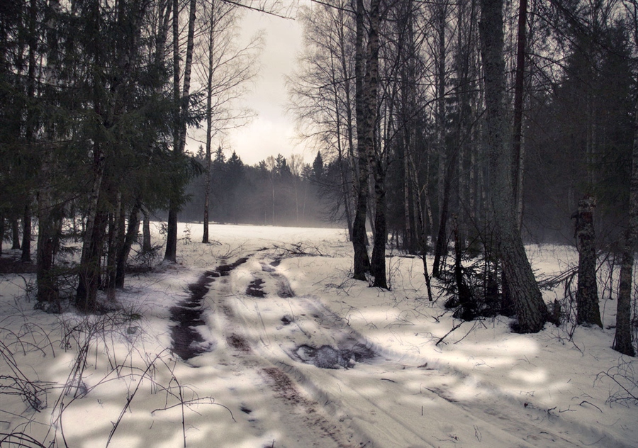 Фото жизнь