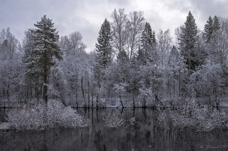 Фото жизнь