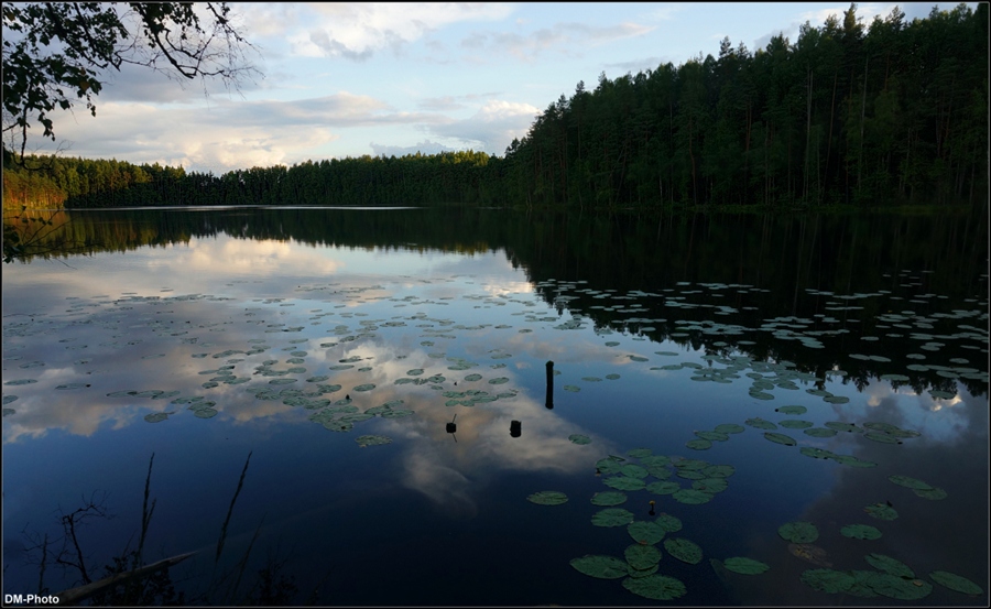 Фото жизнь