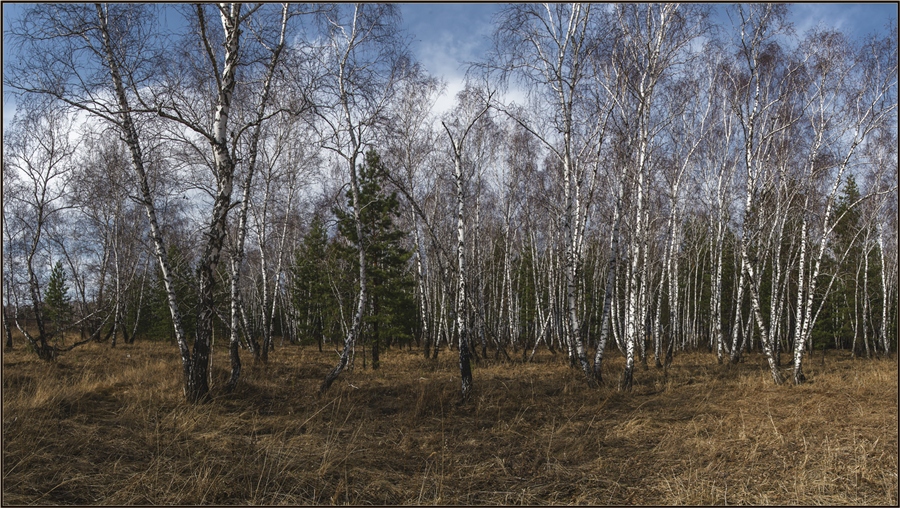 Фото жизнь