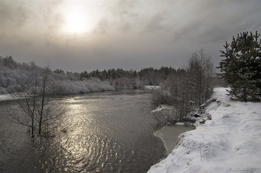 Фото жизнь