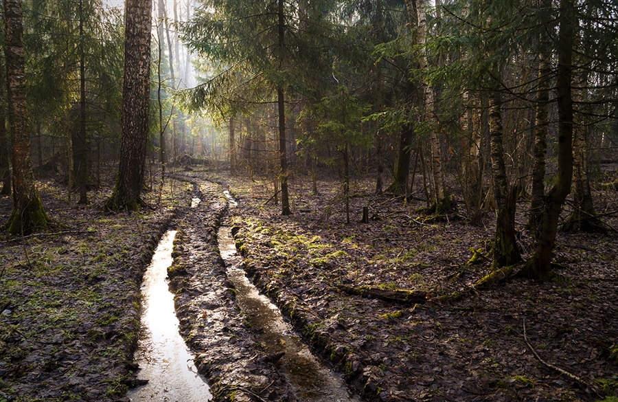 Фото жизнь