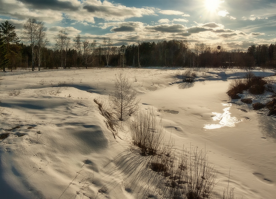 Фото жизнь