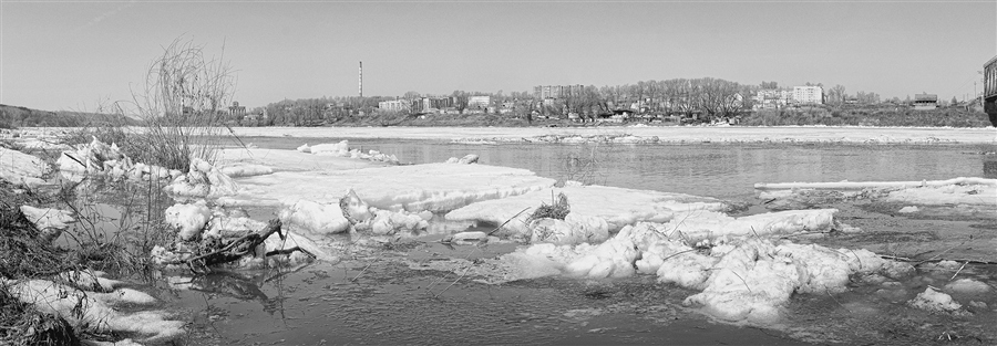 Фото жизнь