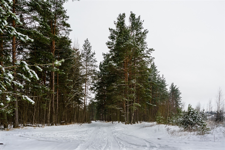 Фото жизнь