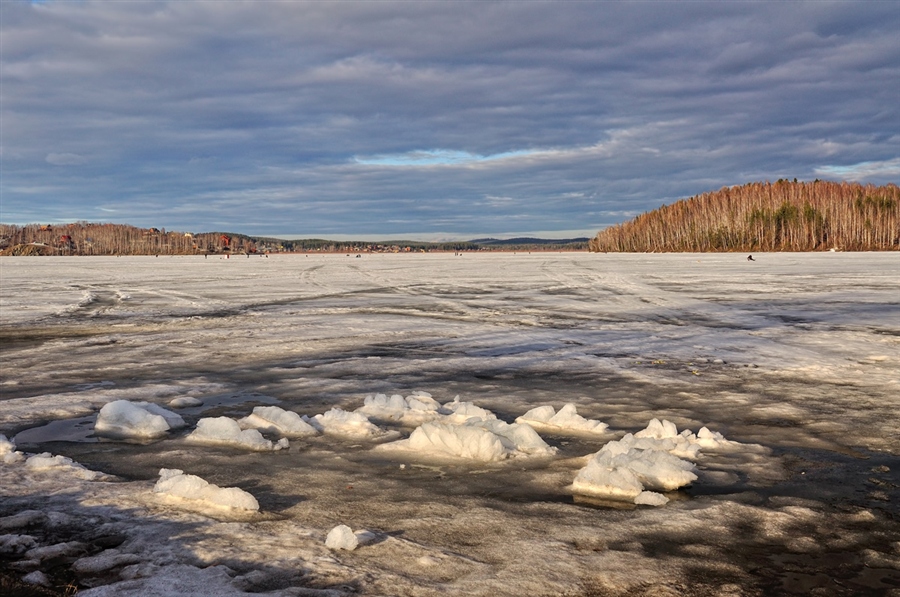 Фото жизнь