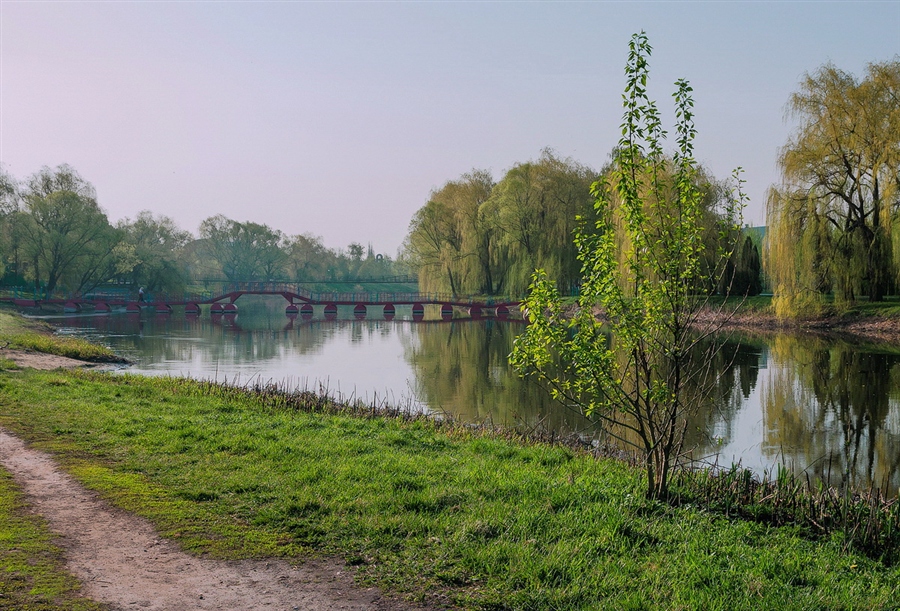 Фото жизнь