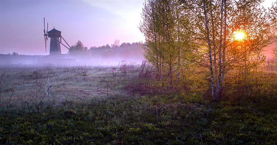 Фото жизнь
