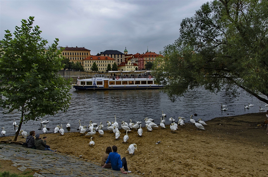 Фото жизнь