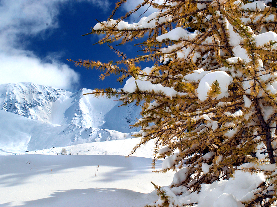 Фото жизнь (light) - Sergey-63 - корневой каталог - В горы пришла зима