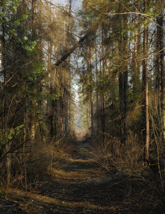 Фото жизнь