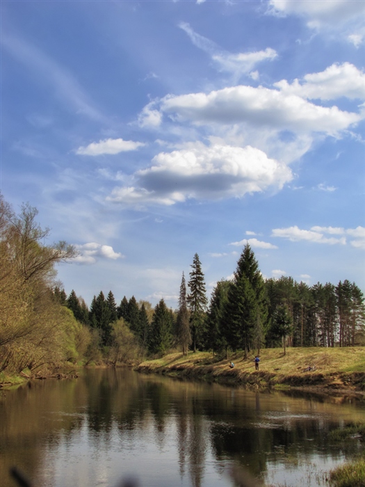 Фото жизнь